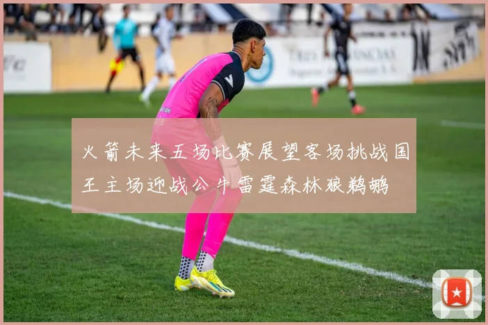 火箭未来五场比赛展望客场挑战国王主场迎战公牛雷霆森林狼鹈鹕