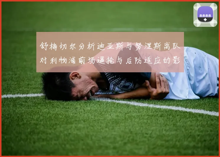 舒梅切尔分析迪亚斯与努涅斯离队对利物浦前场逼抢与后防适应的影响